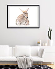 Load image into Gallery viewer, Red Kangaroo