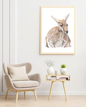 Load image into Gallery viewer, Red Kangaroo