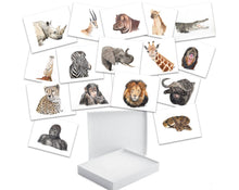 Load image into Gallery viewer, AFRICA - GIFT BOX PRINT SET
