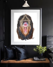 Load image into Gallery viewer, Mandrill
