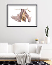 Load image into Gallery viewer, Little Brown Bat