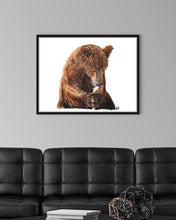 Load image into Gallery viewer, Brown Bear