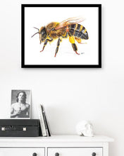 Load image into Gallery viewer, Honey Bee