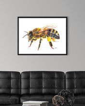 Load image into Gallery viewer, Honey Bee