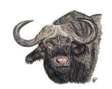 Load image into Gallery viewer, AFRICA - GIFT BOX PRINT SET