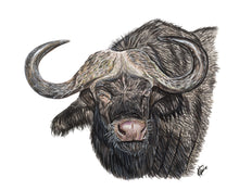 Load image into Gallery viewer, African Buffalo

