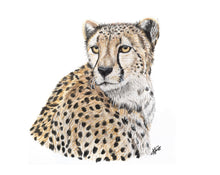 Load image into Gallery viewer, AFRICA - GIFT BOX PRINT SET