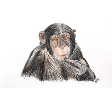 Load image into Gallery viewer, AFRICA - GIFT BOX PRINT SET