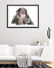 Load image into Gallery viewer, Chimpanzee
