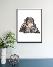 Load image into Gallery viewer, Chimpanzee