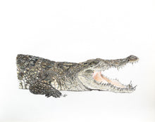 Load image into Gallery viewer, AFRICA - GIFT BOX PRINT SET