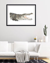 Load image into Gallery viewer, Saltwater Crocodile