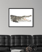 Load image into Gallery viewer, Saltwater Crocodile