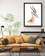 Load image into Gallery viewer, Thomson's gazelle