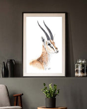 Load image into Gallery viewer, Thomson's gazelle
