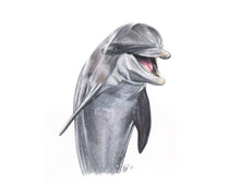 Load image into Gallery viewer, Bottlenose Dolphin
