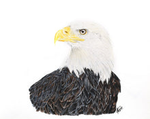 Load image into Gallery viewer, Bald Eagle