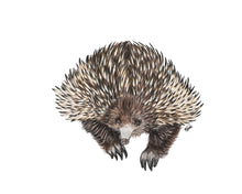 Load image into Gallery viewer, AUSTRALIA - GIFT BOX PRINT SET