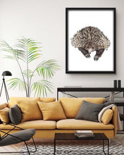 Load image into Gallery viewer, Echidna