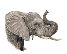 Load image into Gallery viewer, African Elephant