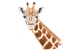 Load image into Gallery viewer, ENDANGERED ANIMALS - GIFT BOX PRINT SET