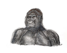 Load image into Gallery viewer, Western Silverback Gorilla
