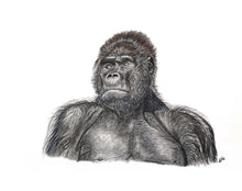 Load image into Gallery viewer, ENDANGERED ANIMALS - GIFT BOX PRINT SET