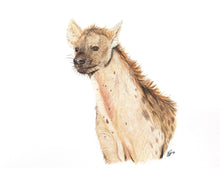 Load image into Gallery viewer, Spotted hyena