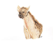 Load image into Gallery viewer, AFRICA - GIFT BOX PRINT SET