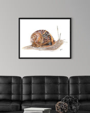 Load image into Gallery viewer, Garden Snail
