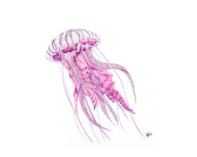 Load image into Gallery viewer, Mauve Stinger Jellyfish