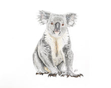 Load image into Gallery viewer, Koala