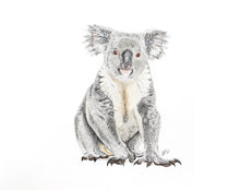 Load image into Gallery viewer, ENDANGERED ANIMALS - GIFT BOX PRINT SET
