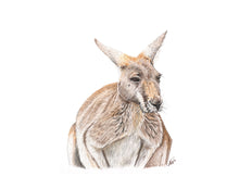 Load image into Gallery viewer, AUSTRALIA - GIFT BOX PRINT SET