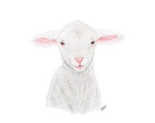 Load image into Gallery viewer, Lamb