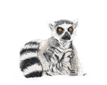 Load image into Gallery viewer, Ring-Tailed Lemur