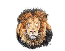 Load image into Gallery viewer, AFRICA - GIFT BOX PRINT SET