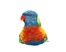 Load image into Gallery viewer, Rainbow Lorikeet