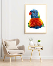 Load image into Gallery viewer, Rainbow Lorikeet
