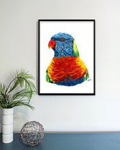 Load image into Gallery viewer, Rainbow Lorikeet