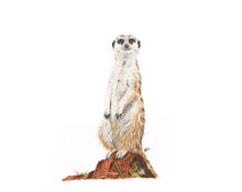 Load image into Gallery viewer, Meerkat