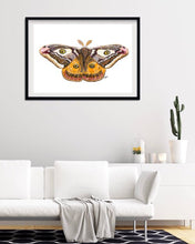 Load image into Gallery viewer, Small Emperor Moth