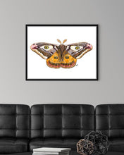Load image into Gallery viewer, Small Emperor Moth