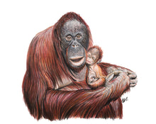 Load image into Gallery viewer, Orangutan
