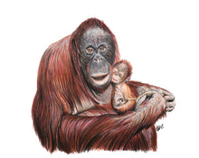 Load image into Gallery viewer, ENDANGERED ANIMALS - GIFT BOX PRINT SET