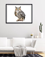Load image into Gallery viewer, Great Horned Owl