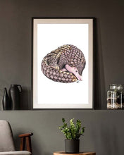 Load image into Gallery viewer, Pangolin