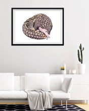 Load image into Gallery viewer, Pangolin
