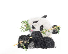 Load image into Gallery viewer, Panda