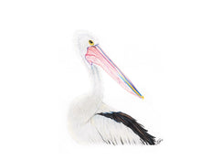 Load image into Gallery viewer, Australian Pelican